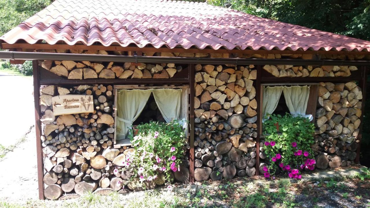 Appartment Bezenica Dobrova エクステリア 写真